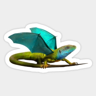 Aqua Dragon Sticker